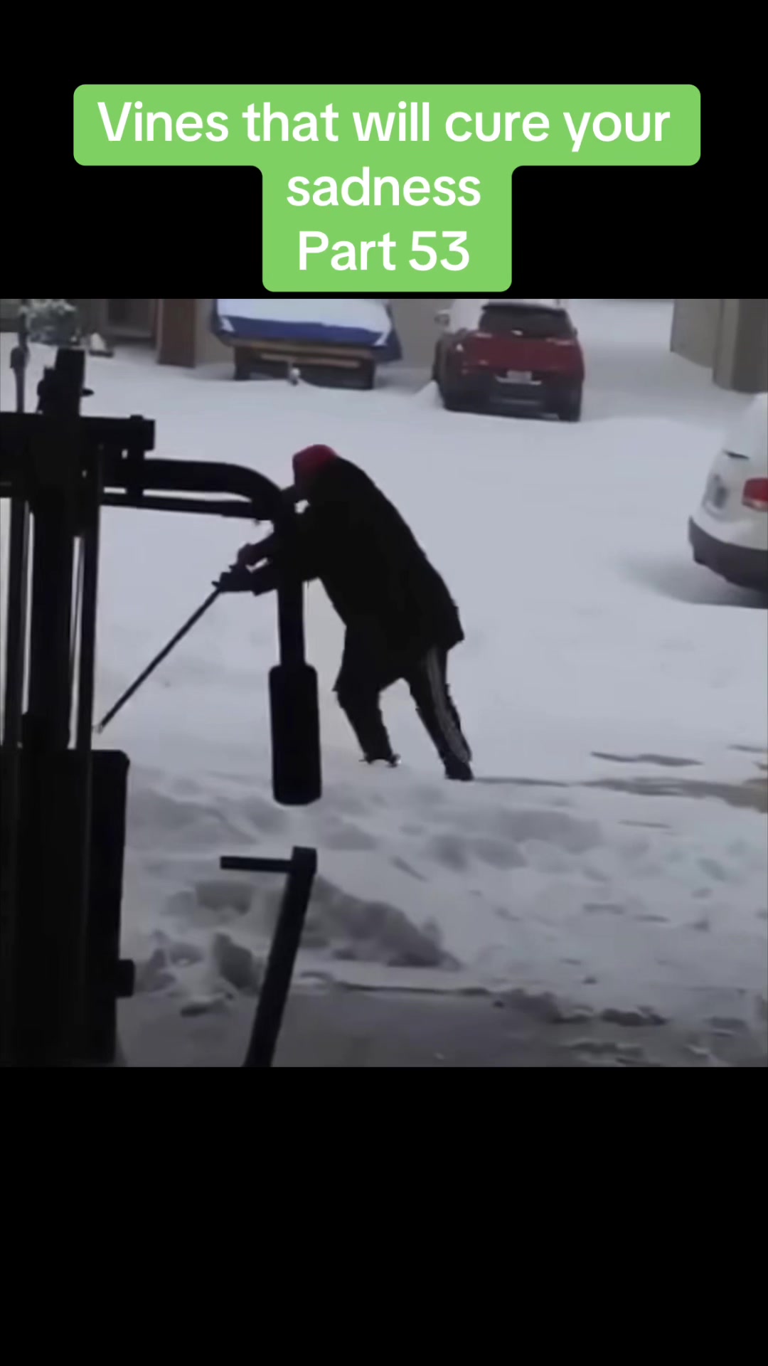 @vinesonlytiktok