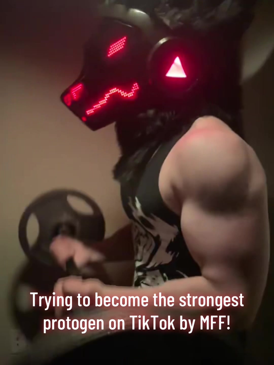 @NorthTheProto