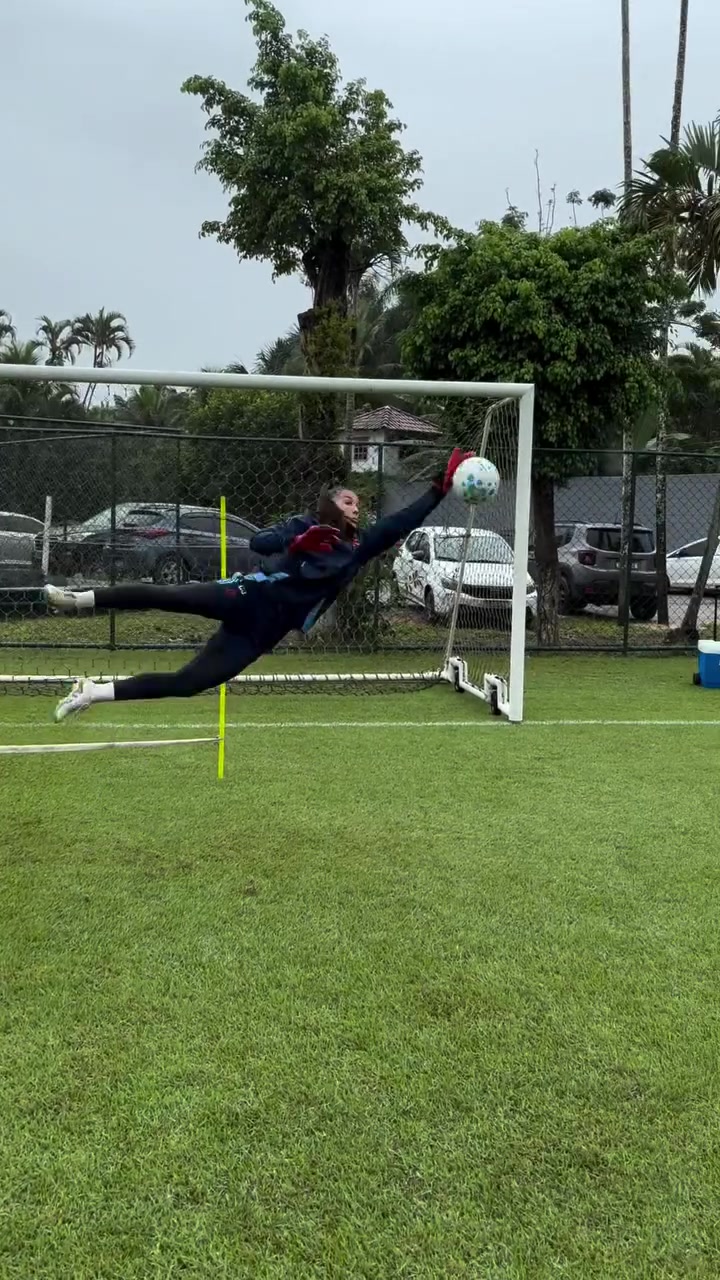 @Goalkeeping Development