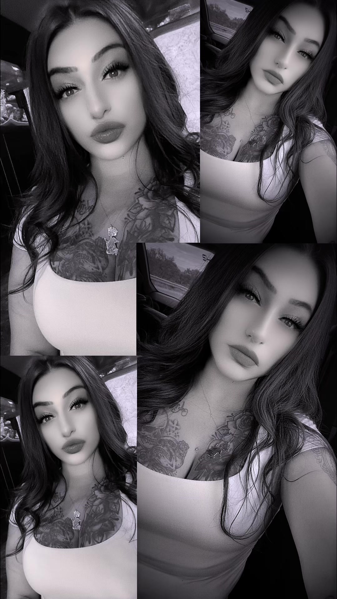 @ace_antz