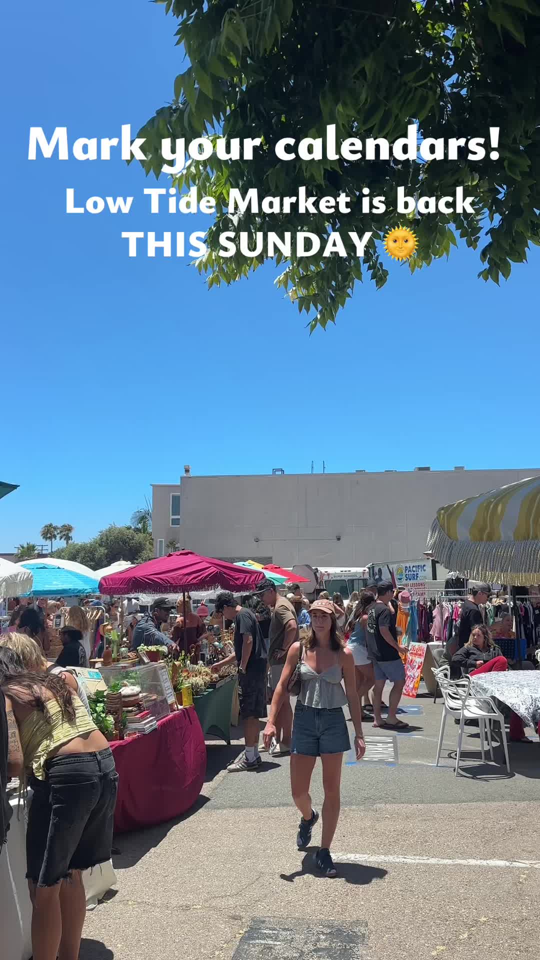 @low tide market