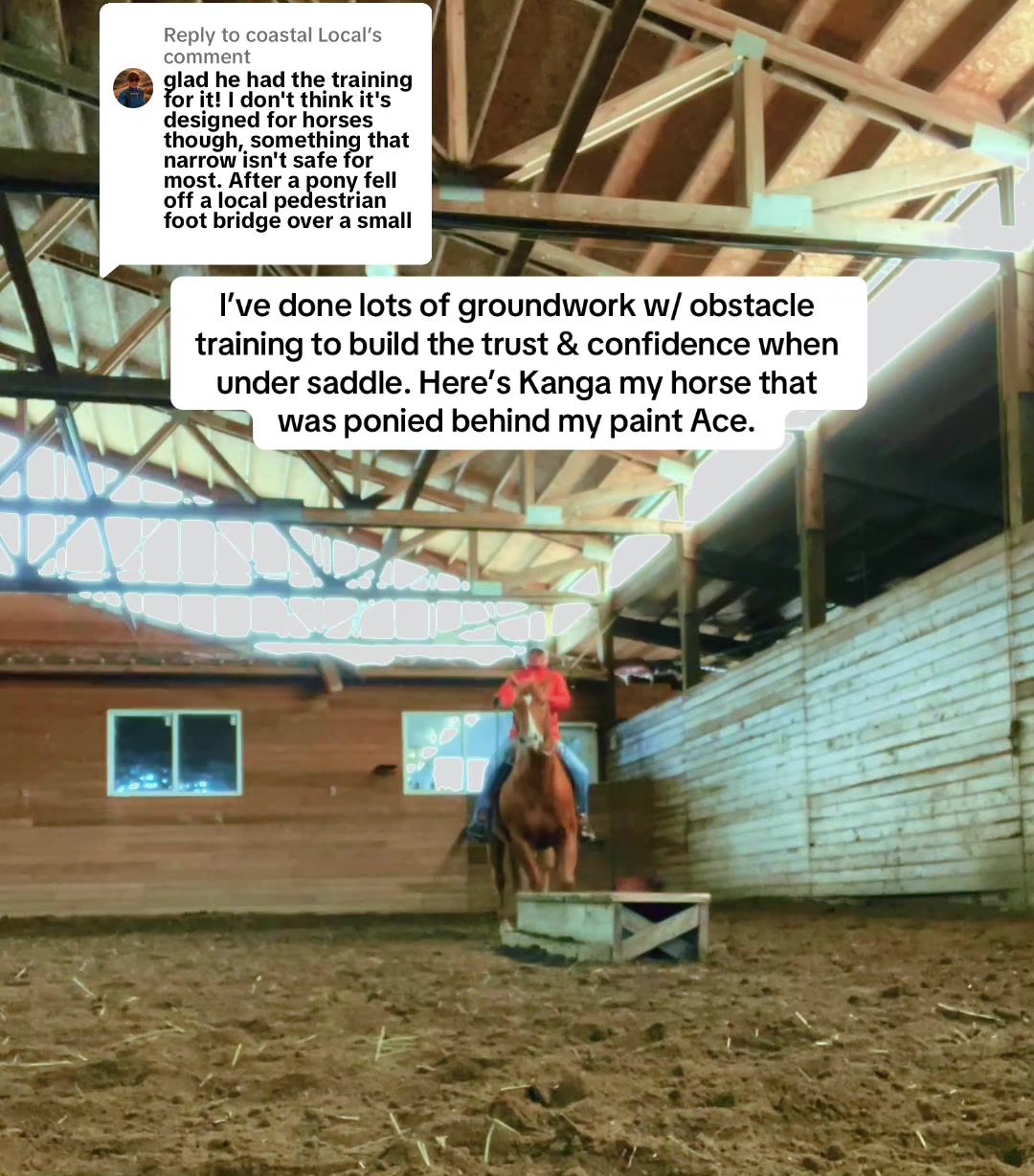 @Pony Girl
