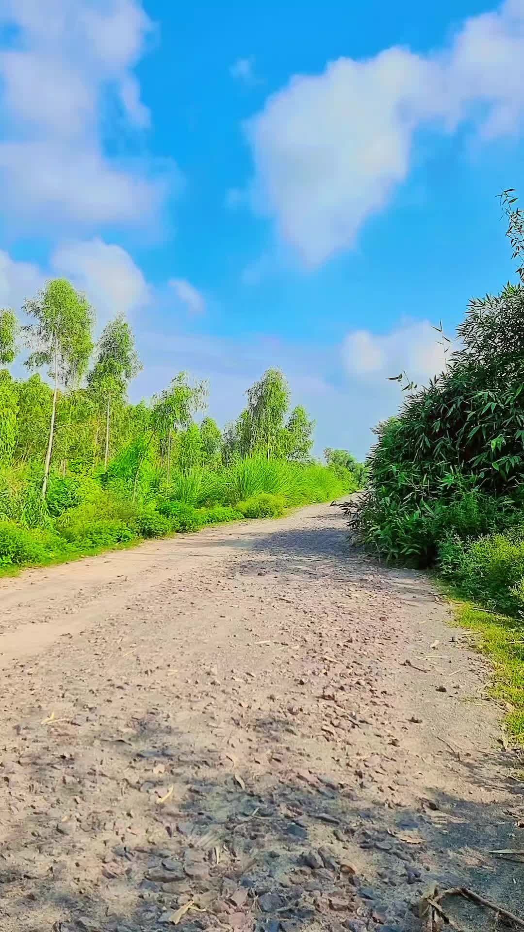 @Taswar . Iqbal . Mandiboy