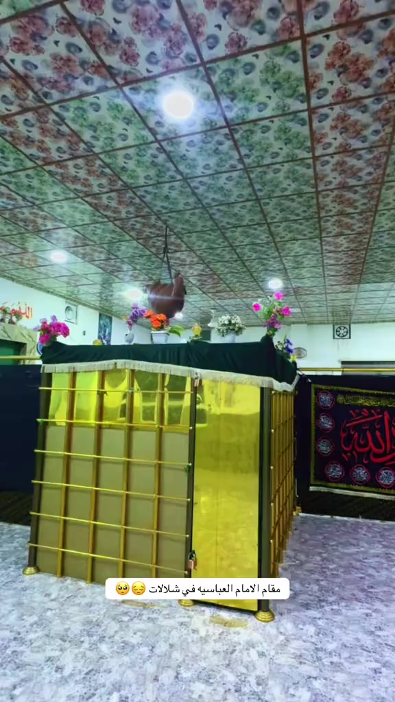 @ستوريات زيودي شبكي 🌎