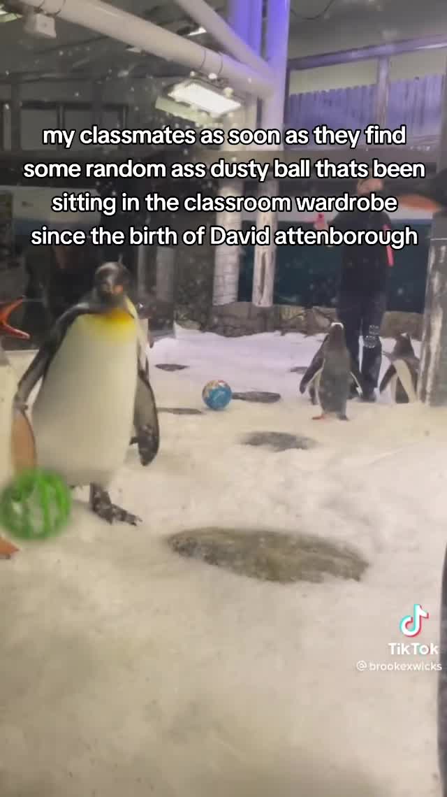 @Mumble but 𝓯𝓻𝓮𝓪𝓴𝔂