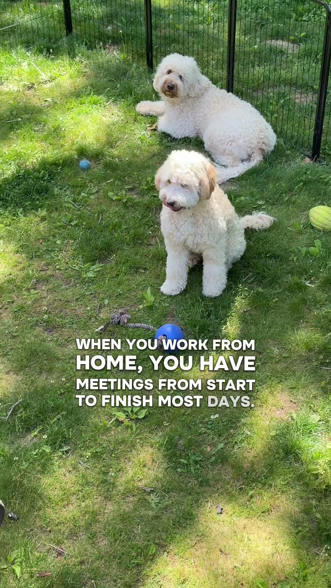 @Life with Margo and Birdie