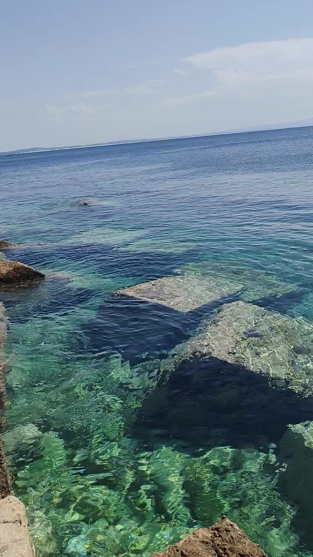 @WATCH AND ENJOY