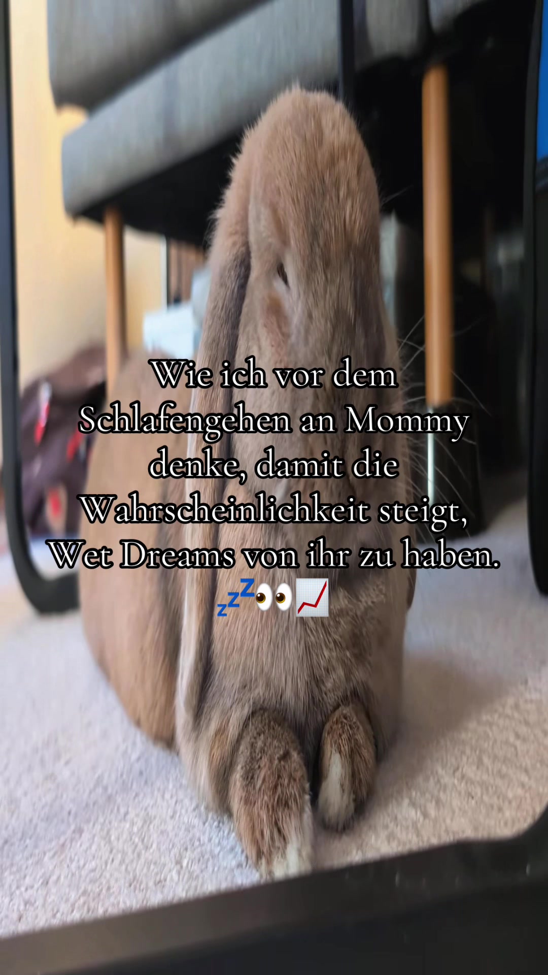 @Eierkopfsalat