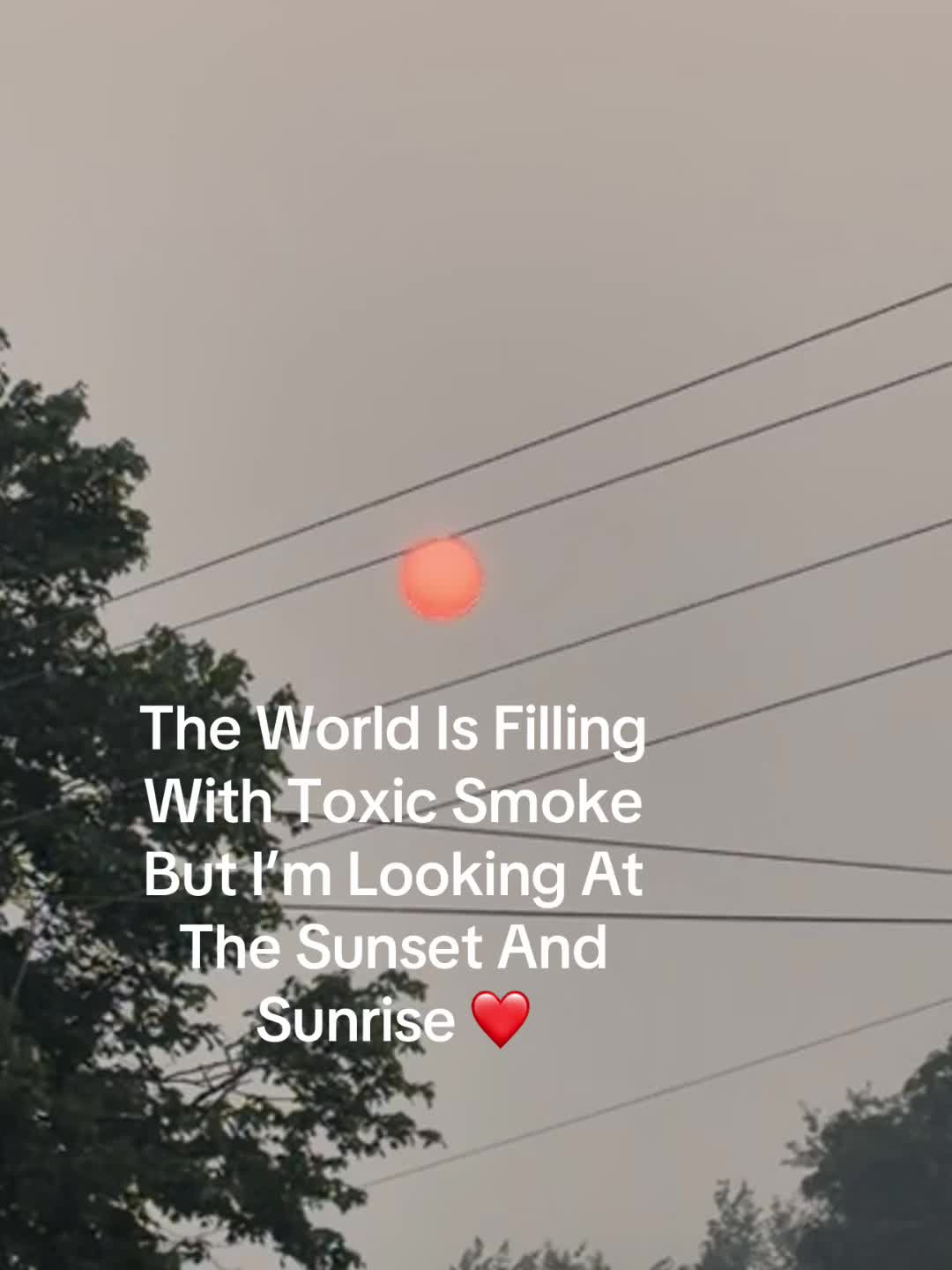@Sara