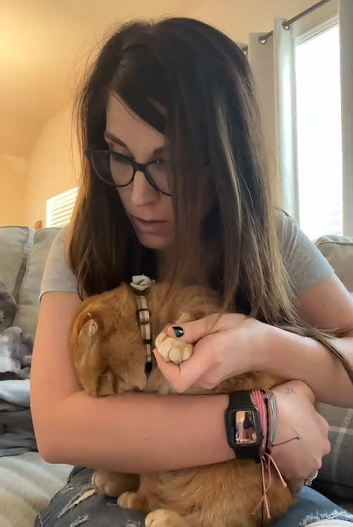 @Scare.funny.pets
