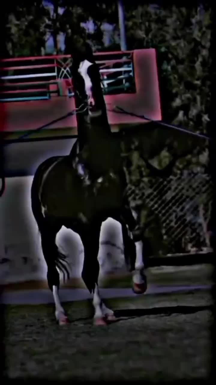 @⫸𝙈𝙞𝙍𝙯𝘼✫𝙎𝙖𝙍𝙆𝙖𝙍✫⫷
