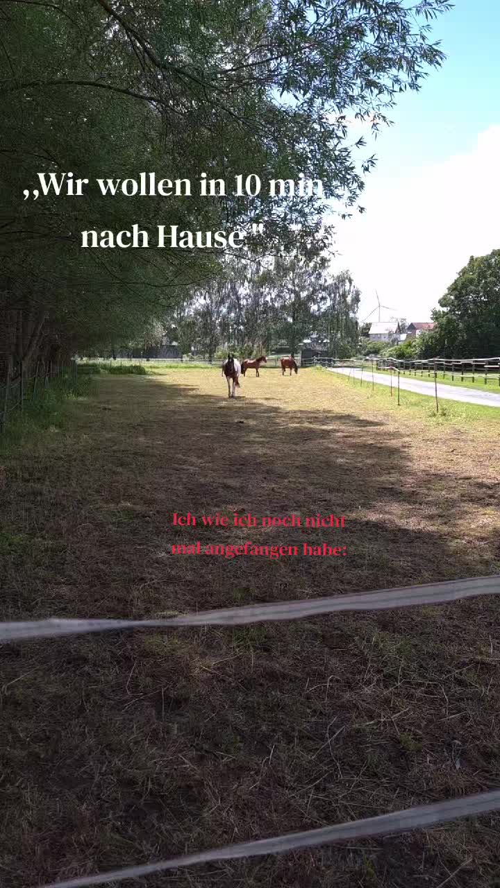 @Herzenspferdanuuk