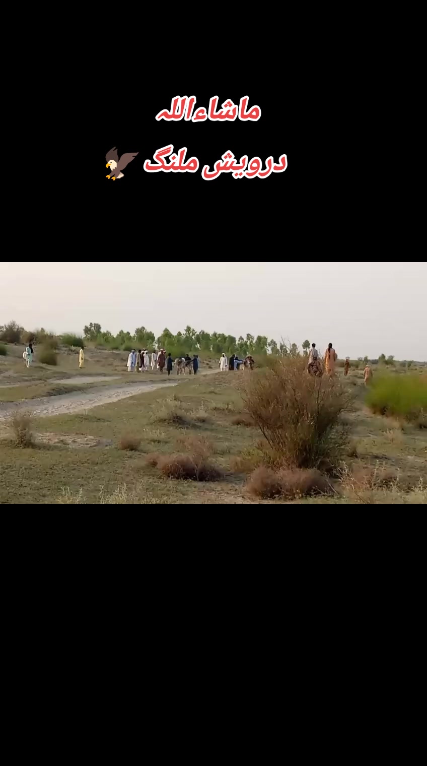 @چوہدری شاہد سلیم مڑل
