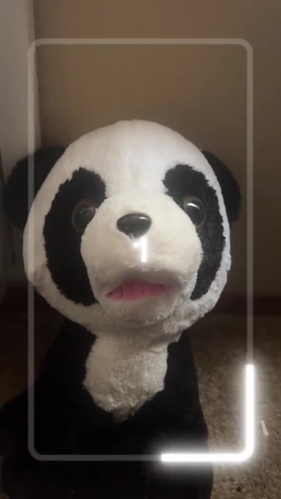 @SoCal_Panda