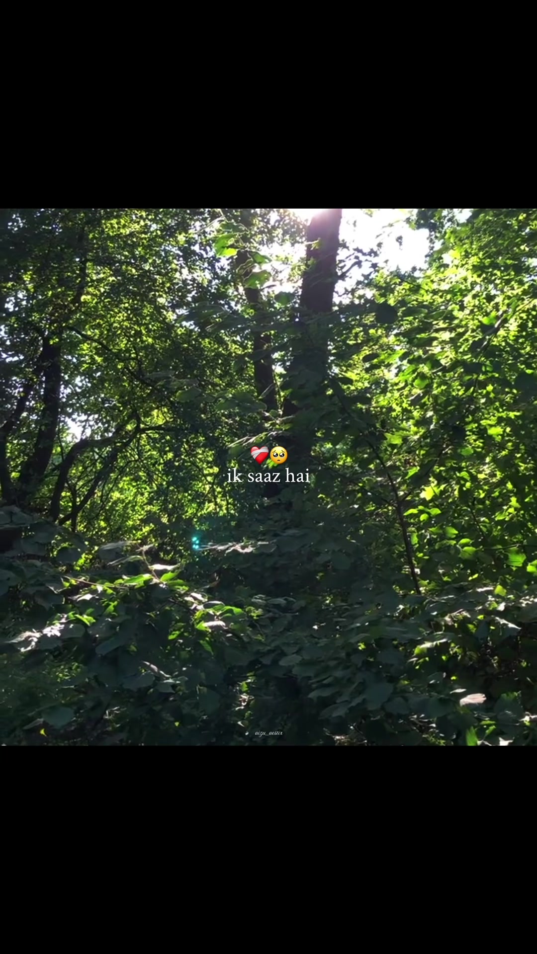 @𝘼 𝙄 𝙕 𝘼 𝙕 &bull; 🐼🍁