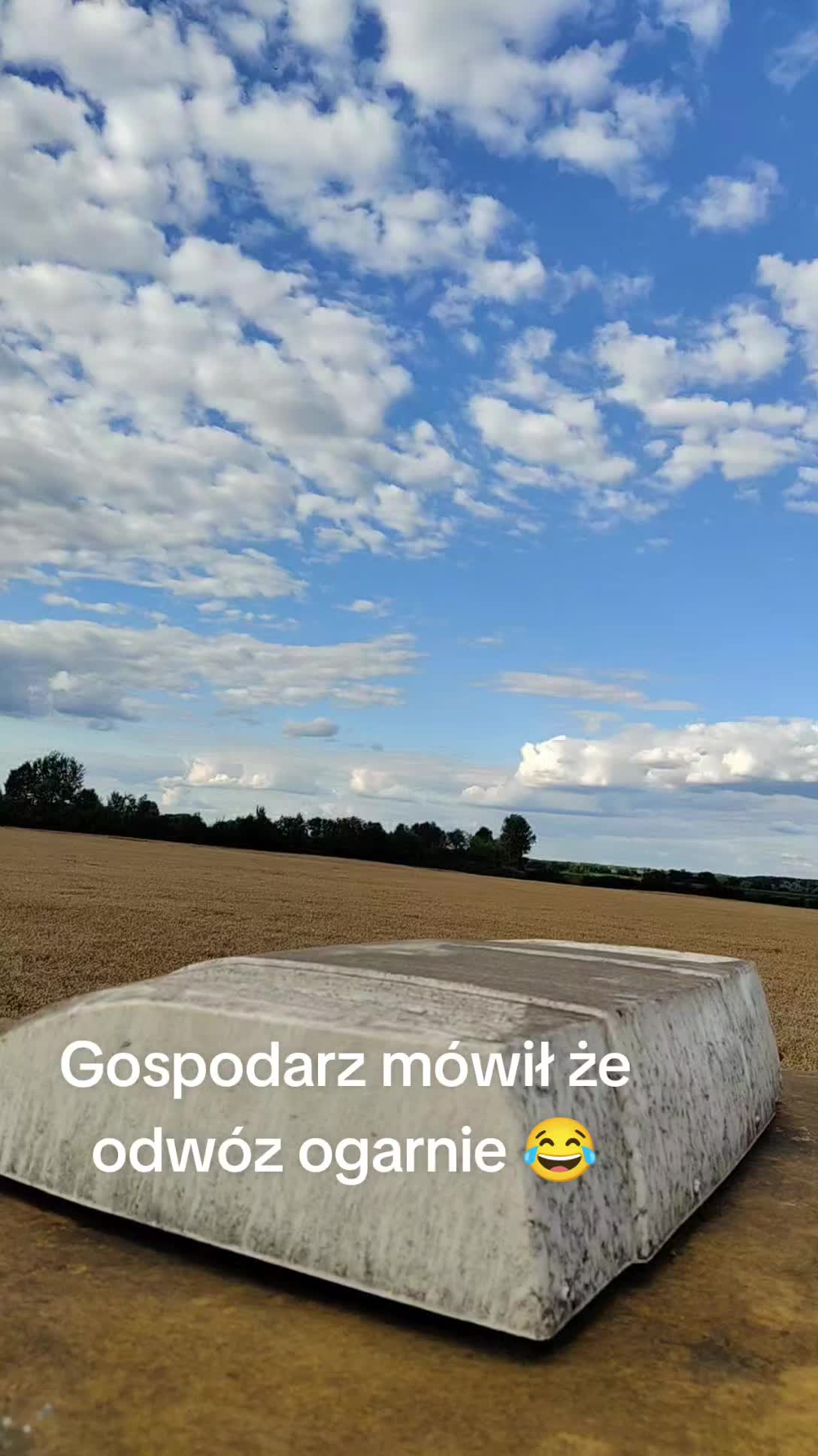 @Swiru97