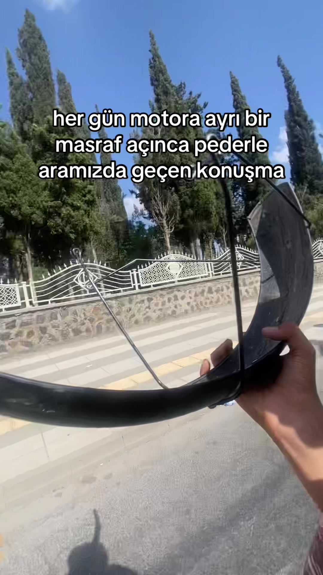 @wirellionyx