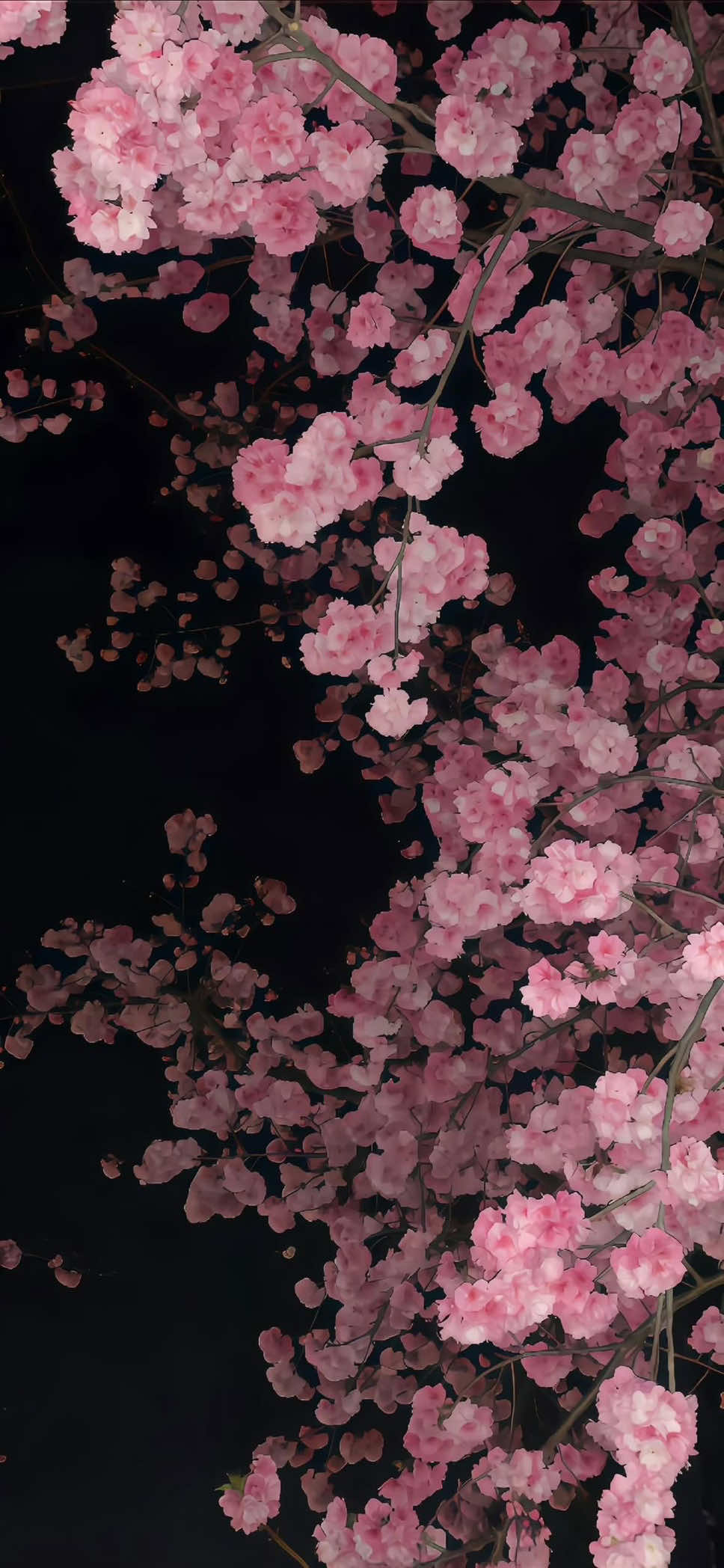 @伊娃🌺