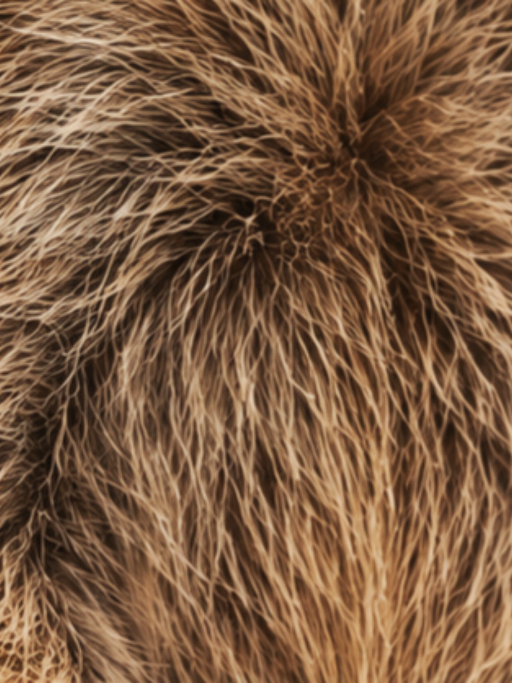 @𝗠𝗼𝗻𝗸𝗲𝘆𝘃𝗶𝗯𝗲𝘀