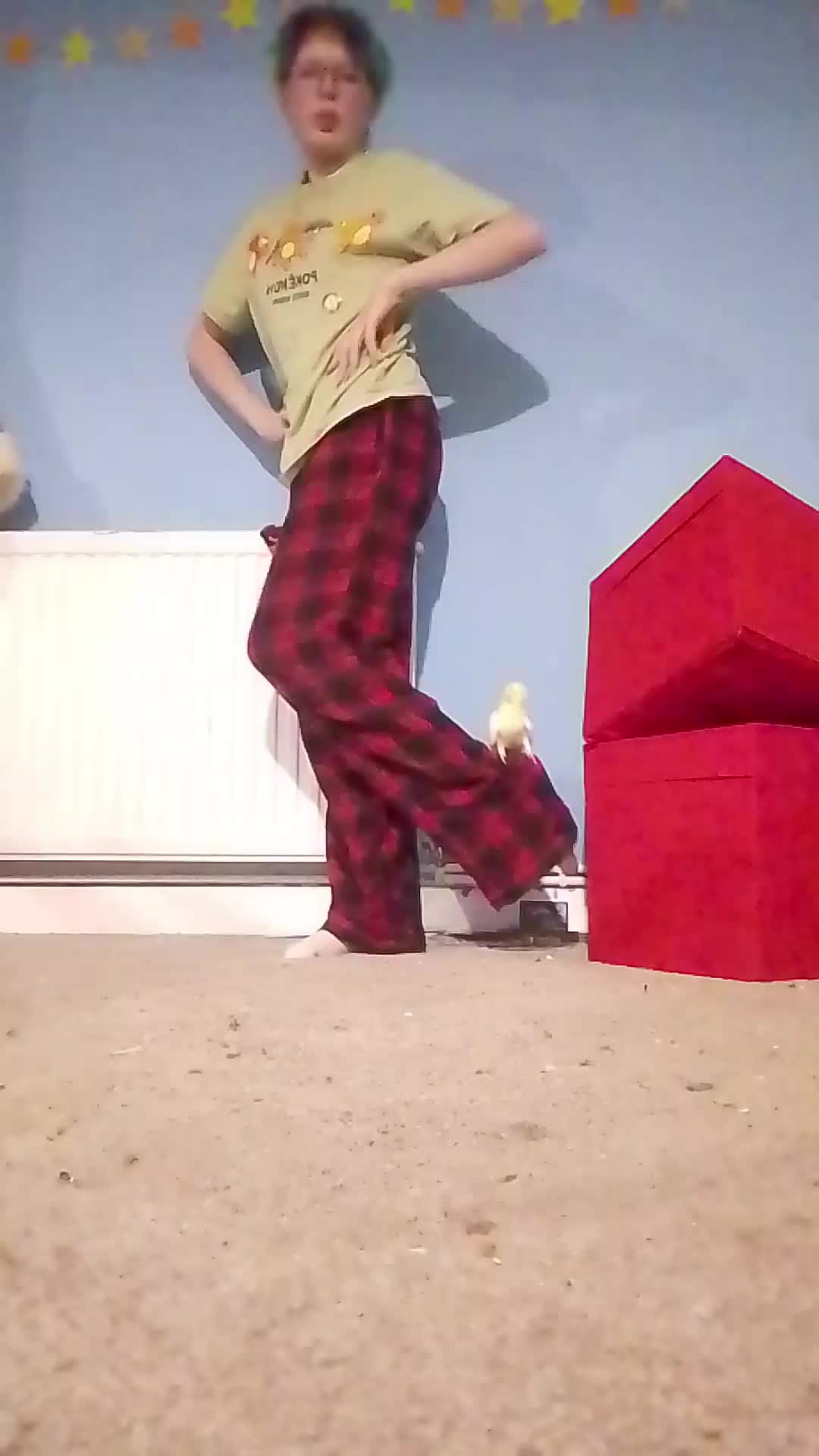 @🪱ach🎹🪲✩₊˚.⋆
