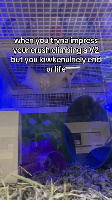 @jonny