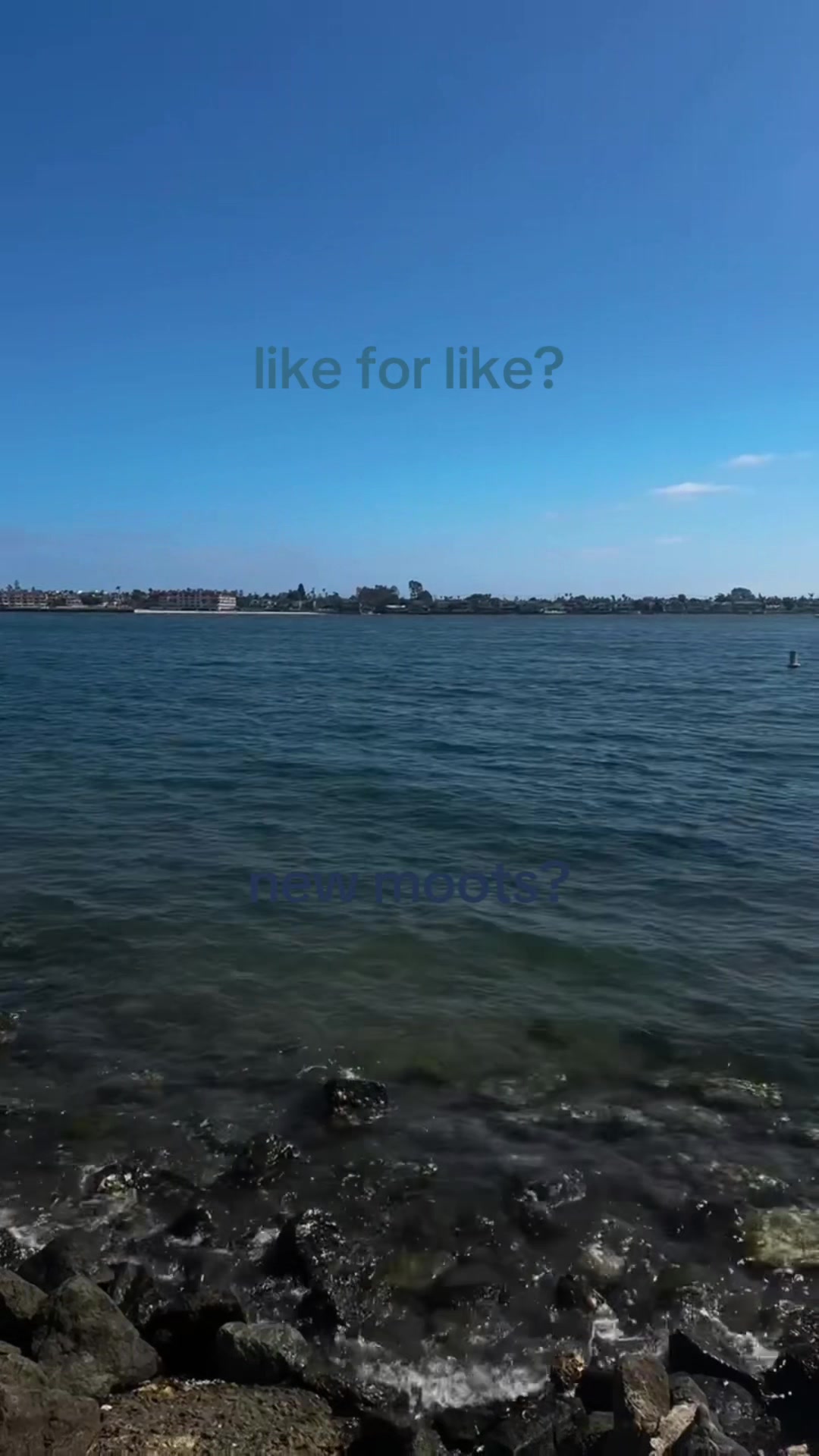@like my reposts
