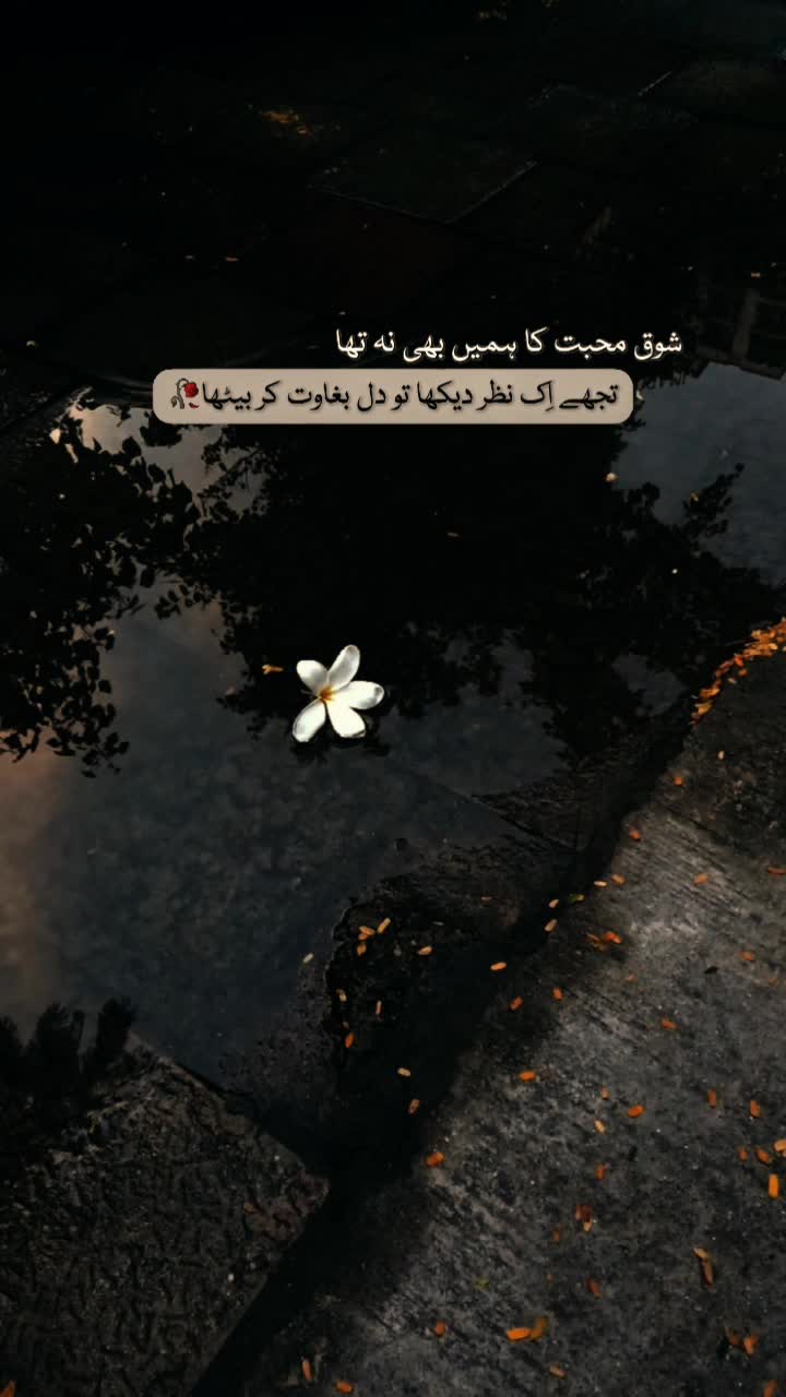 @mareزeishq1090
