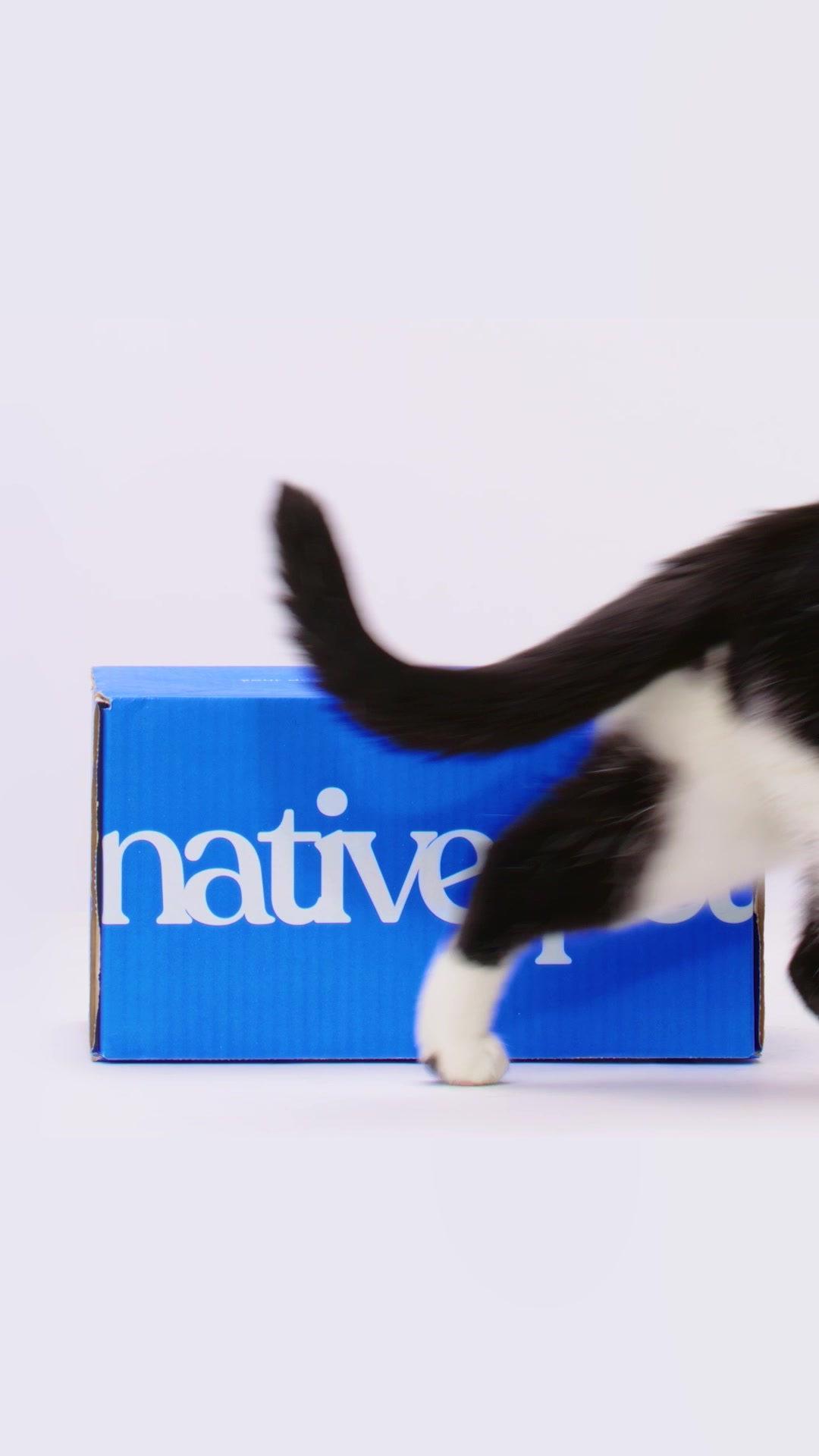 @Native Pet