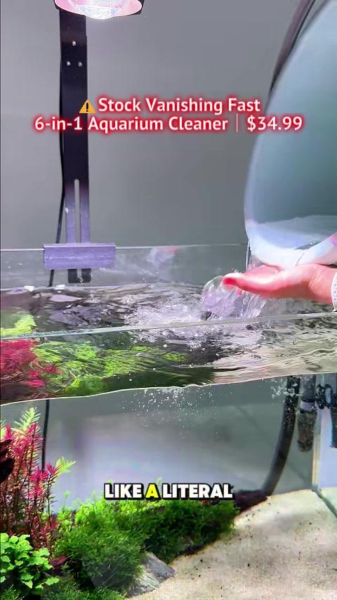 @AQQA Aquarium Store