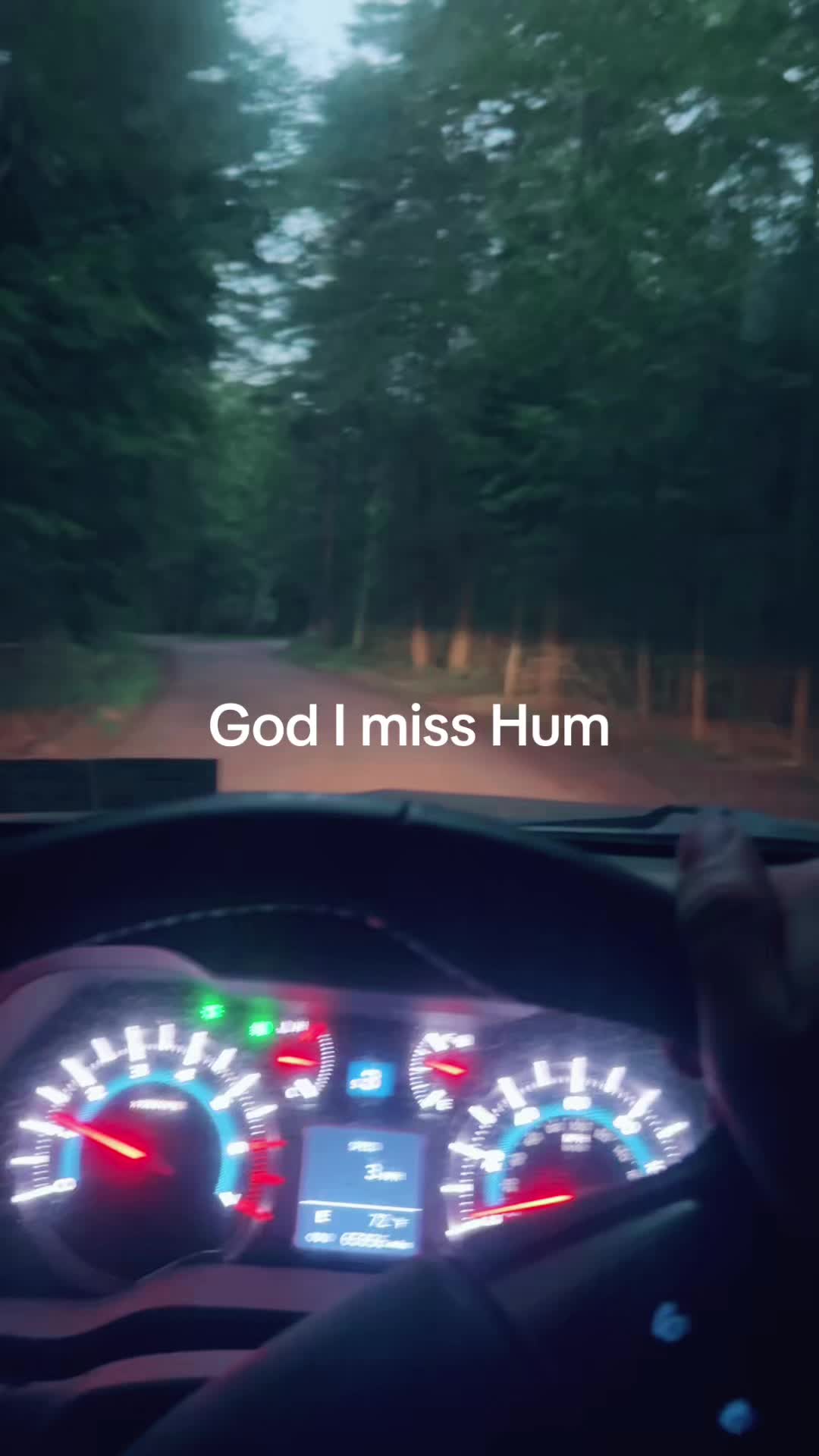@stonedschloong