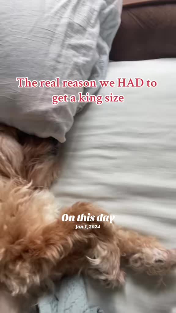 @Pablo & Luigi 🐾