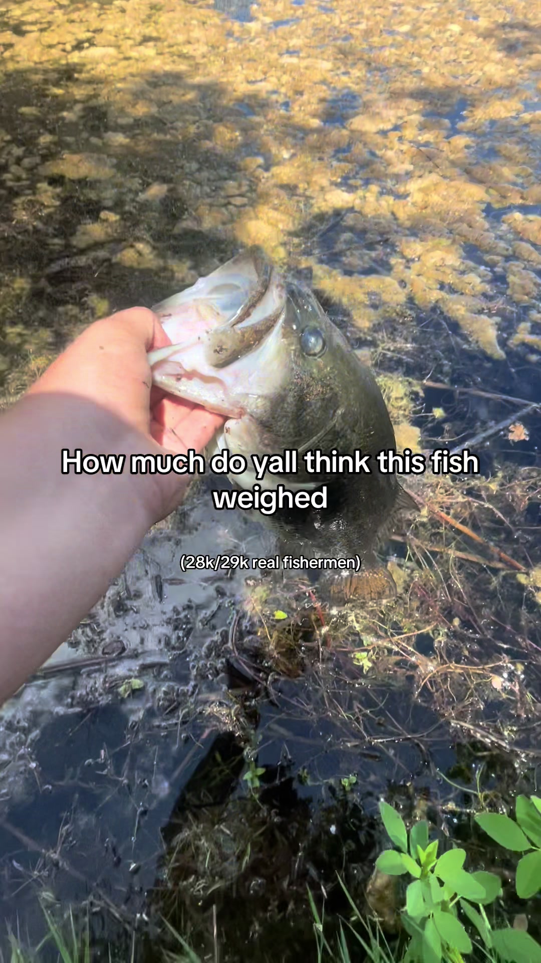 @fishingwithblake_