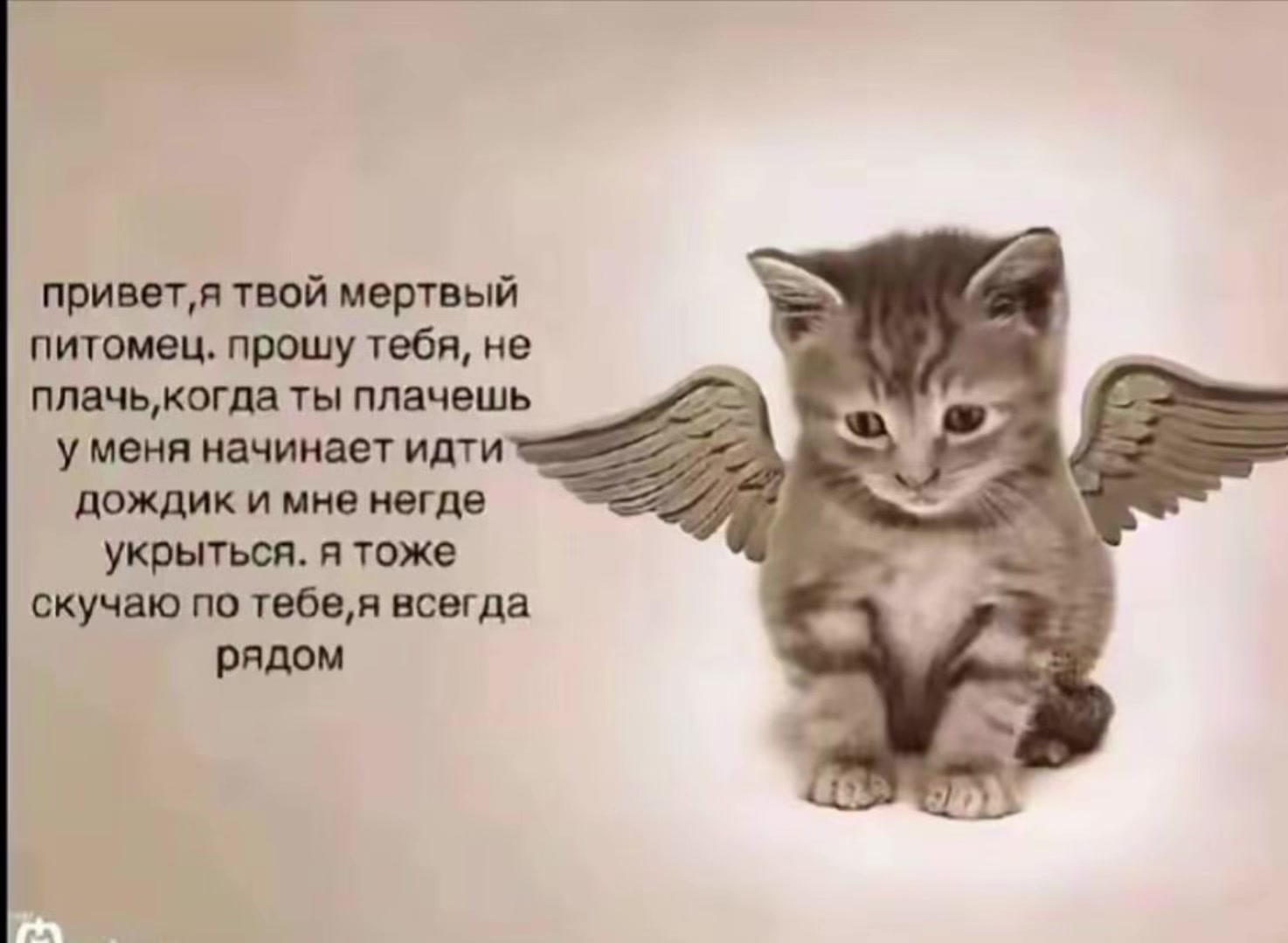 @лантановая