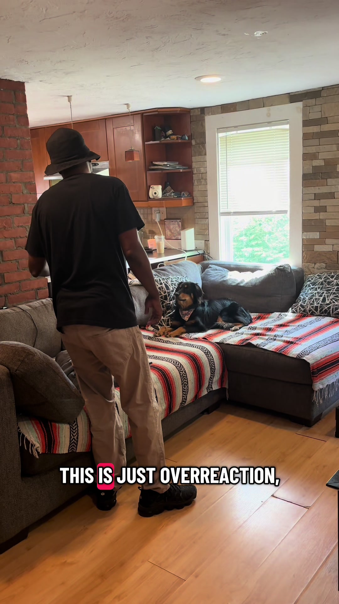 @citylivingdog