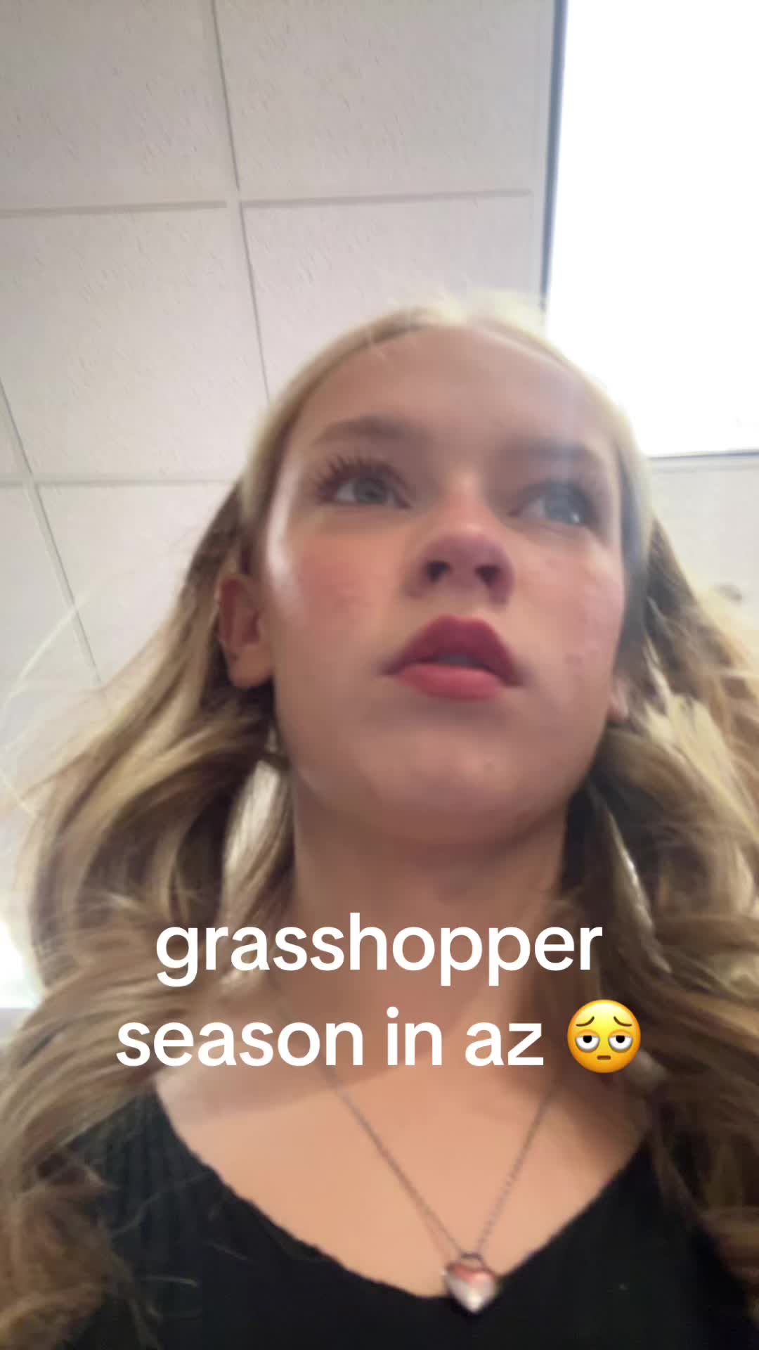 @literlilybusting