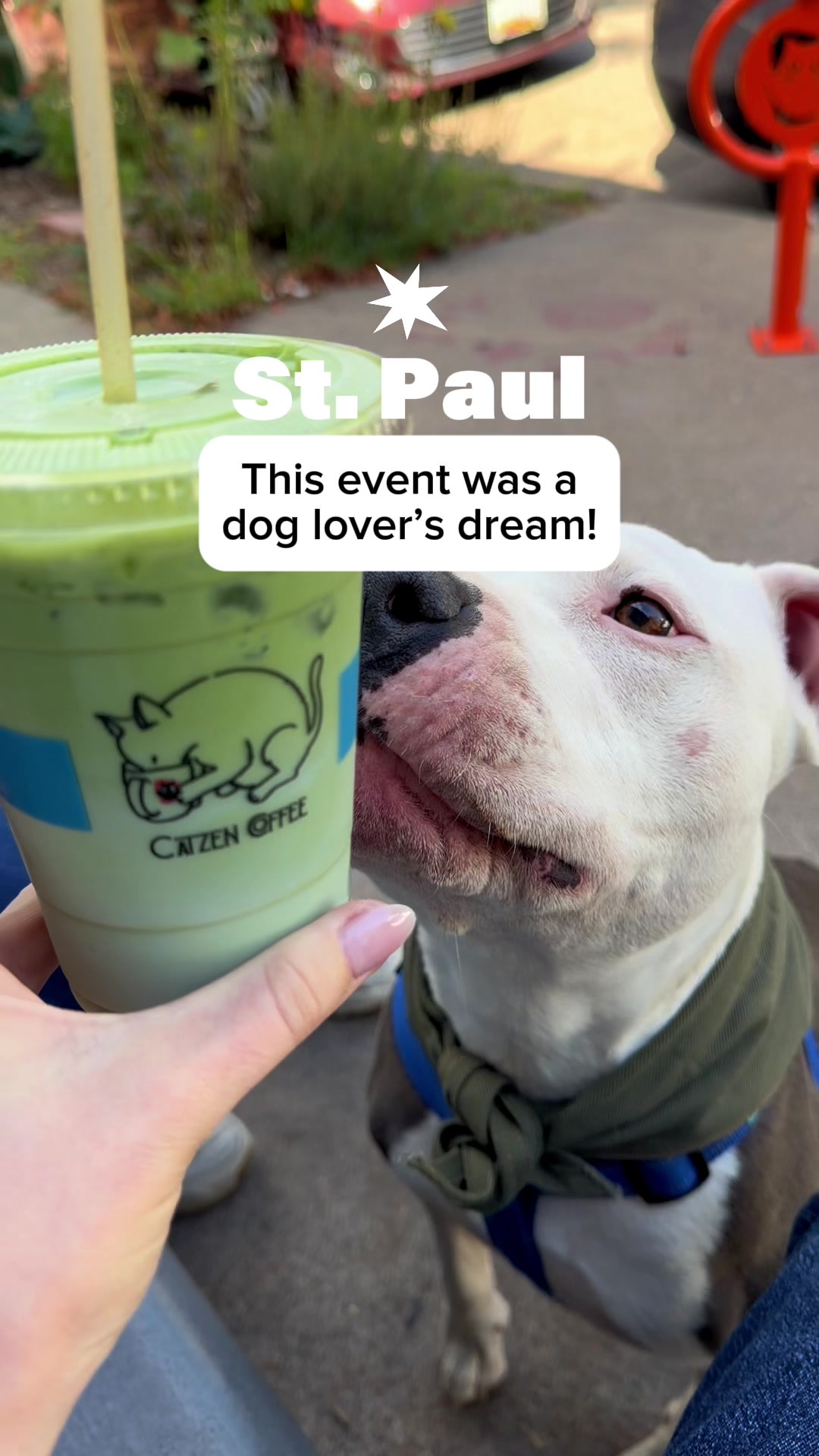 @Pao Minneapolis