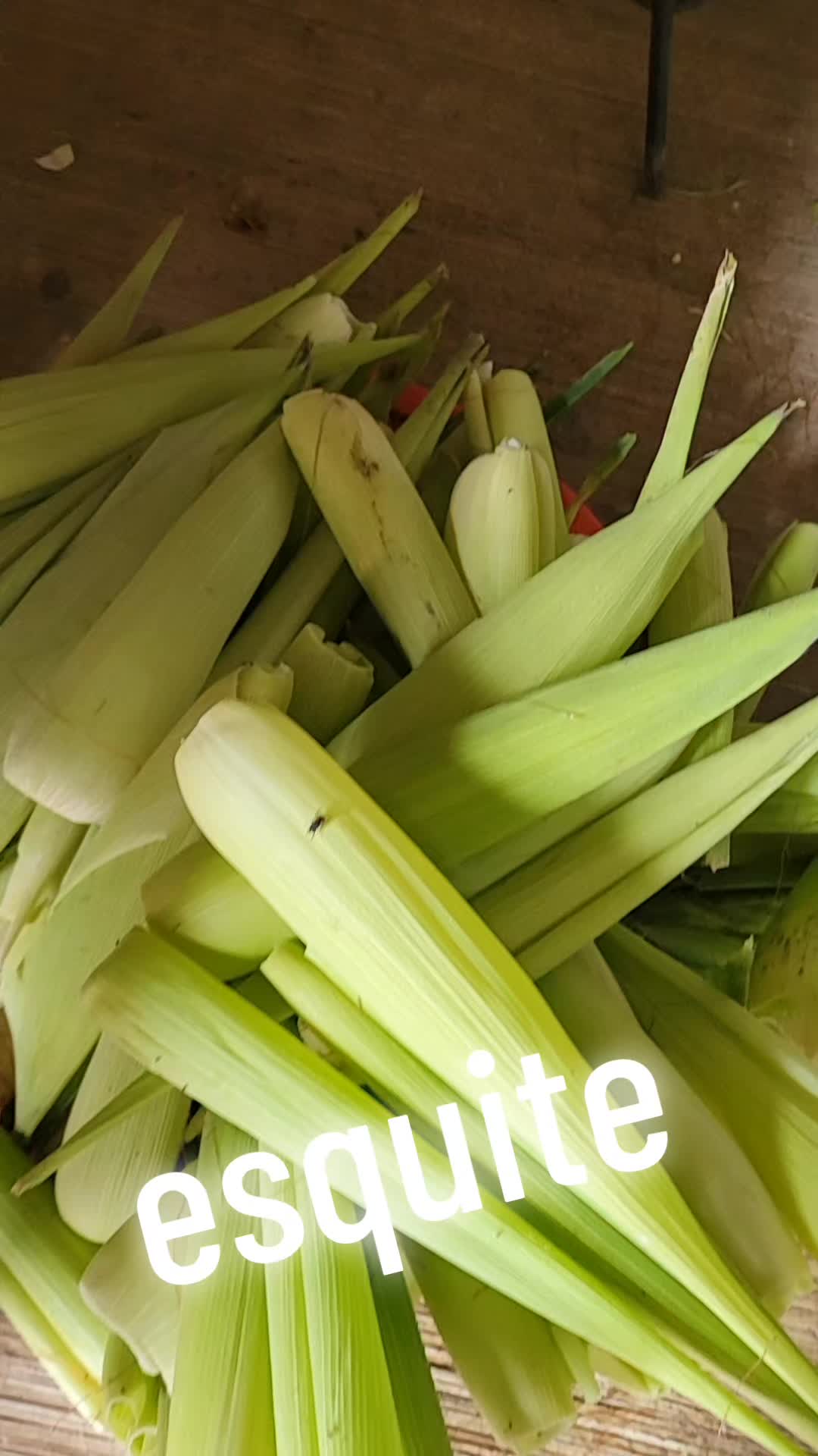@lucymanzano