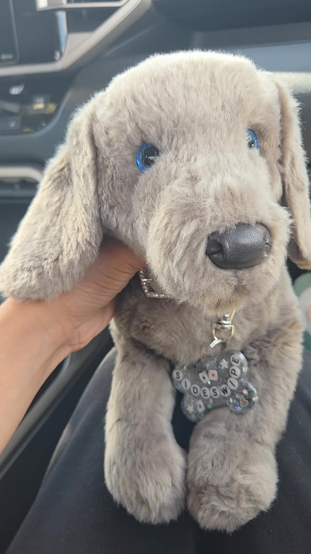 @🪸🦭🪼IsabellaandDino🪸🫍🐬