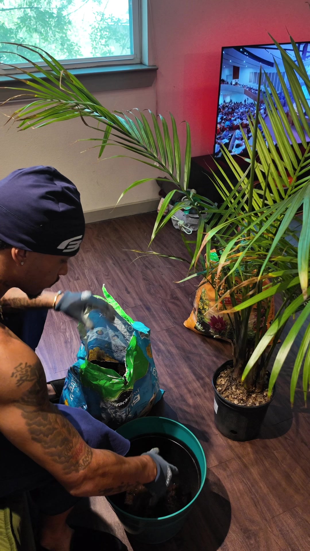 @DommD4L