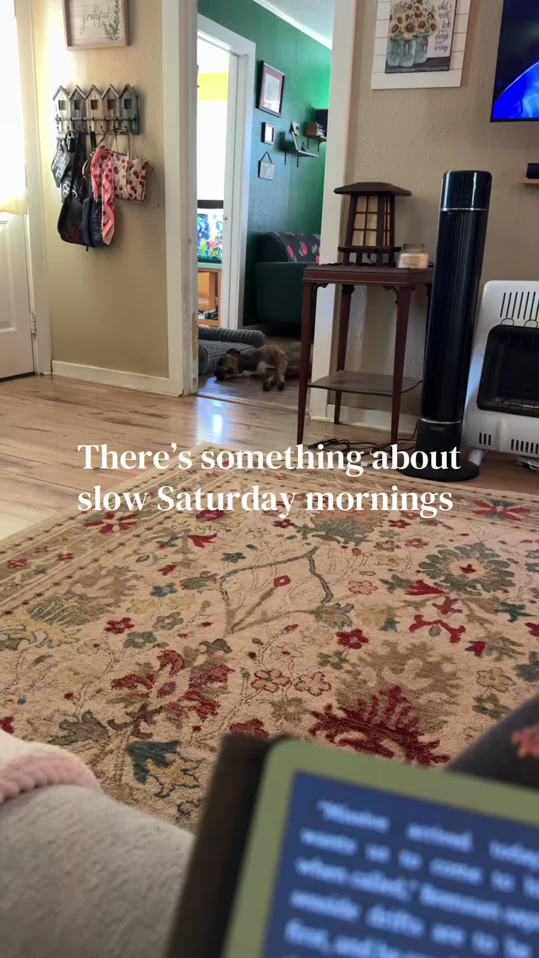 @DK 🐾🍒