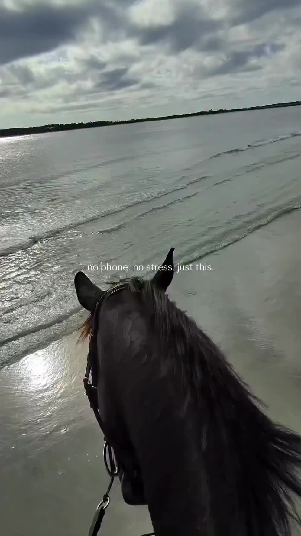 @ThunderGallops