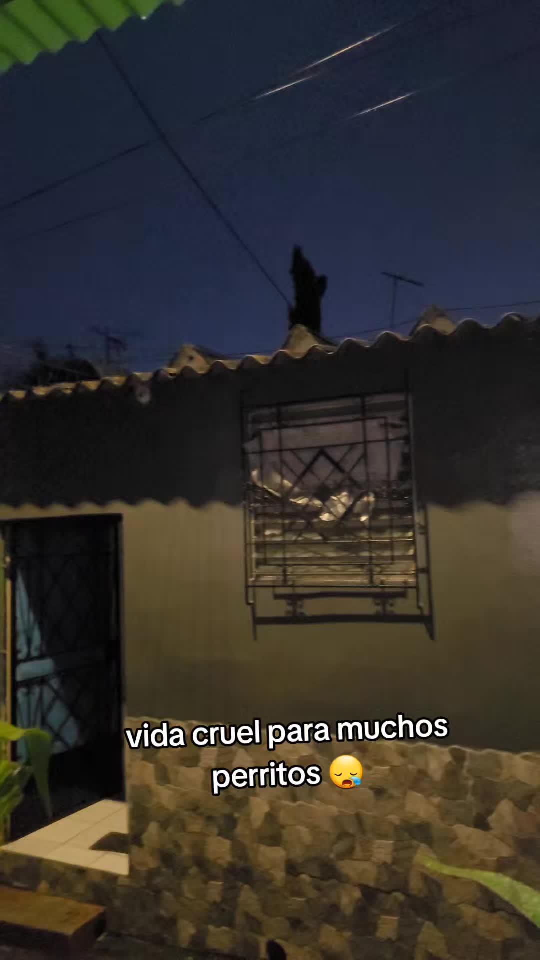 @𝕃𝕚𝕤𝕤 ℝ𝕖yes🇸🇻