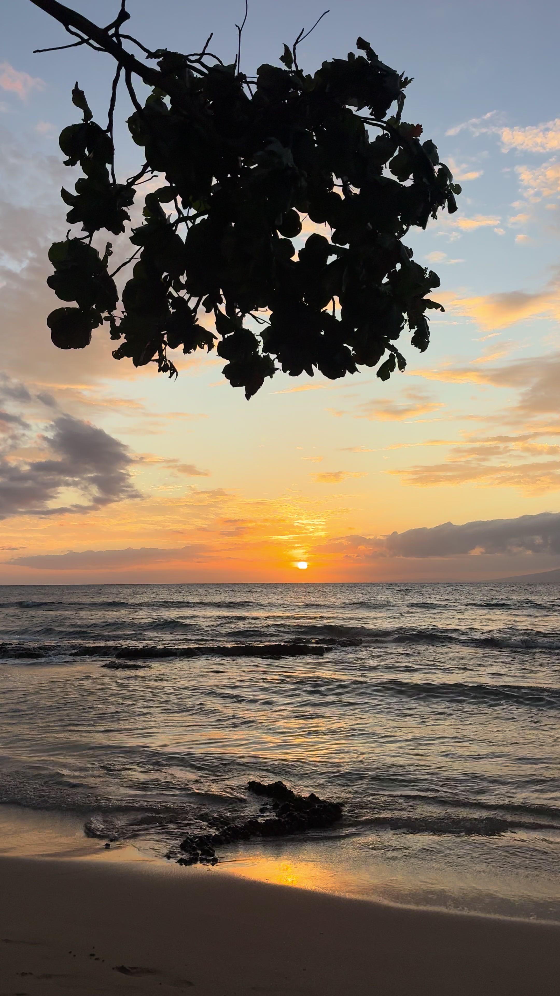 @Mauilani