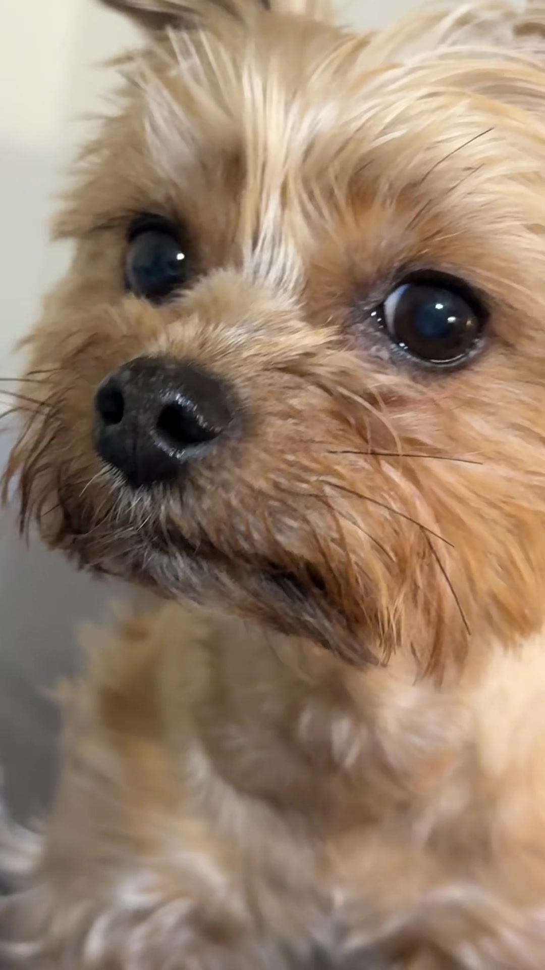 @mili_la_yorki