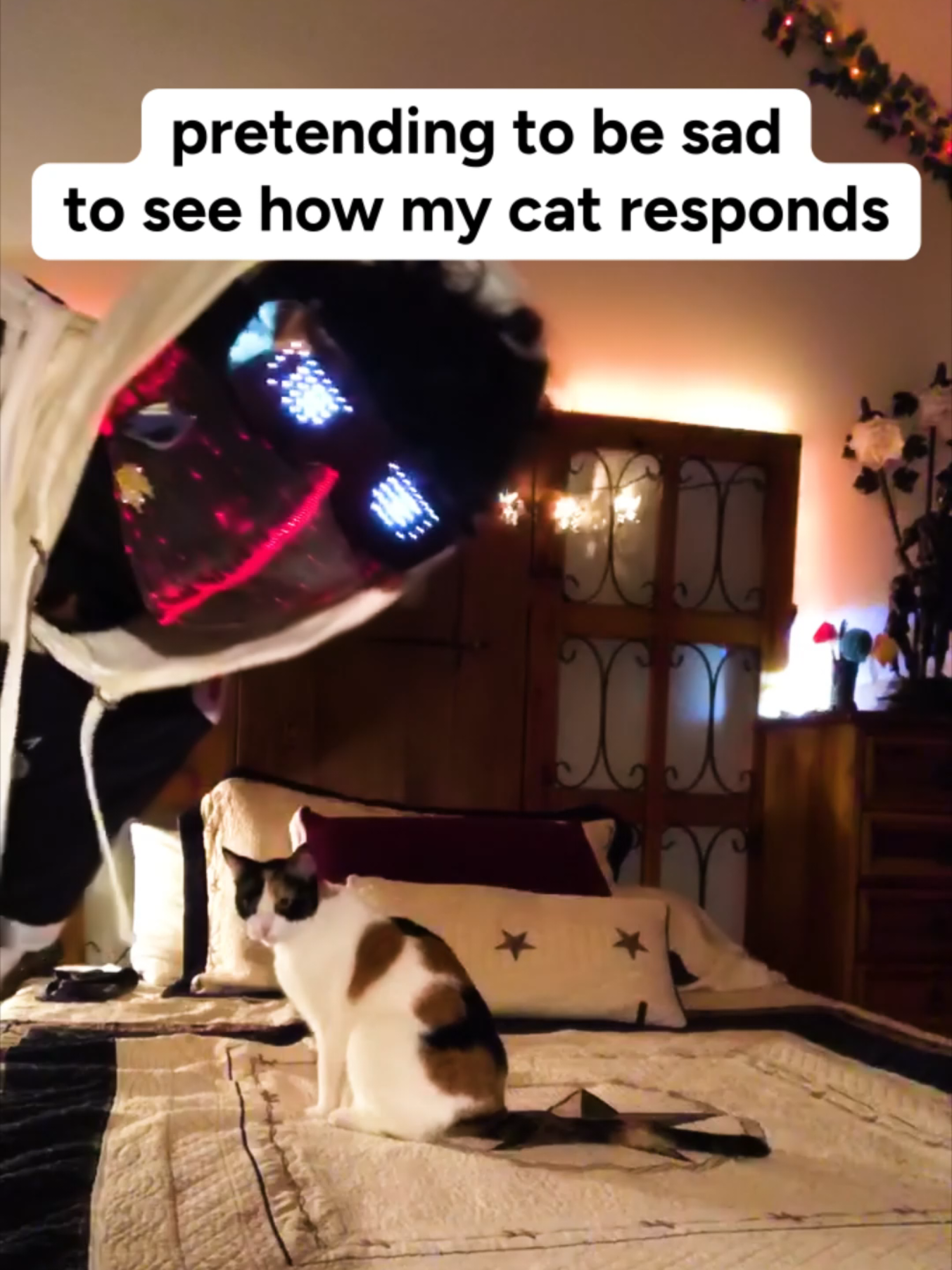 @Stephanafro