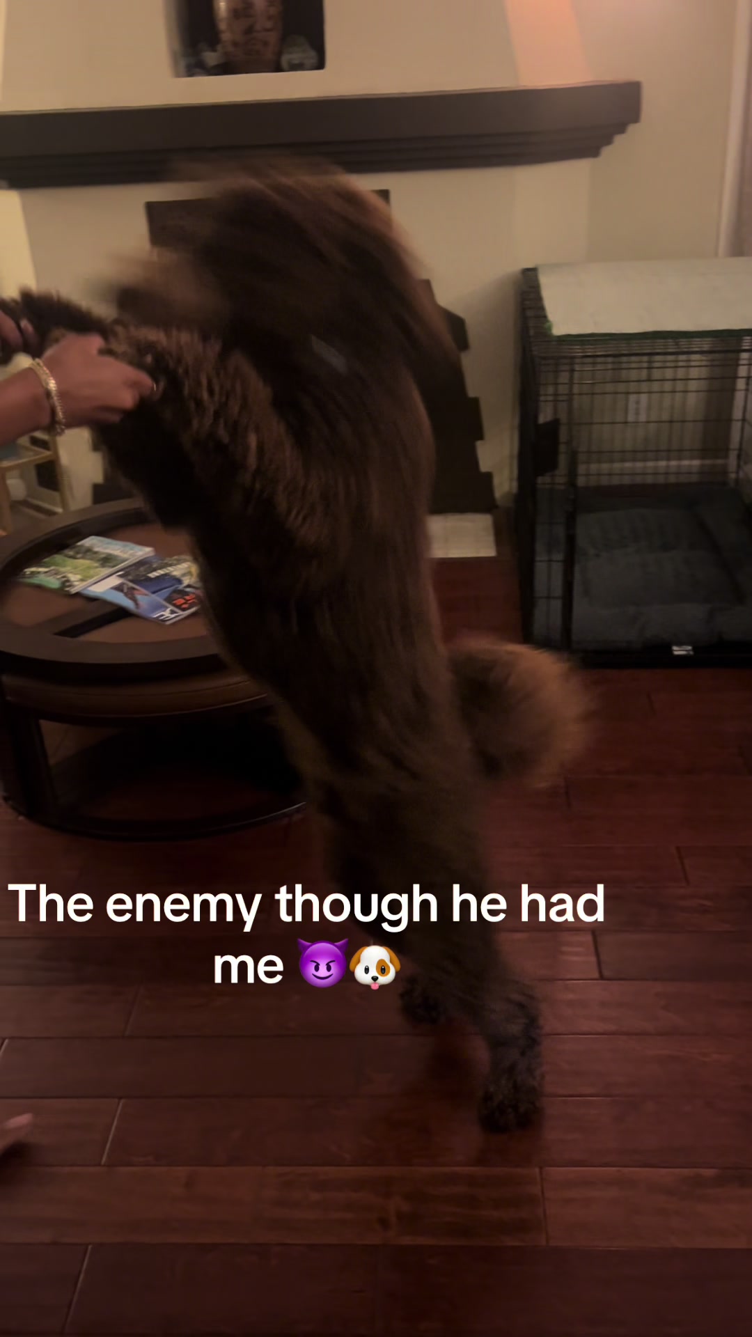 @Jay