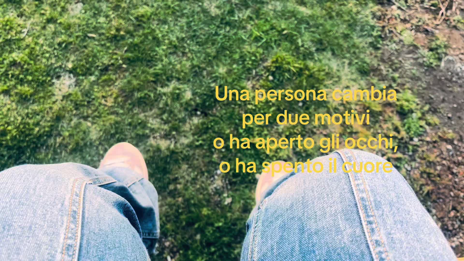 @spamm__