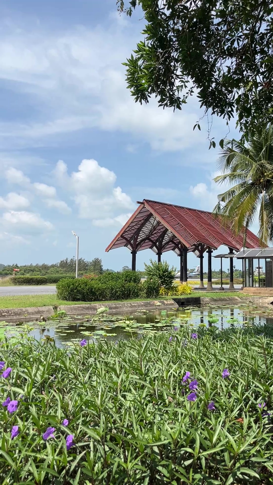 @🏝️ Magical Island Samui 🌴🍹