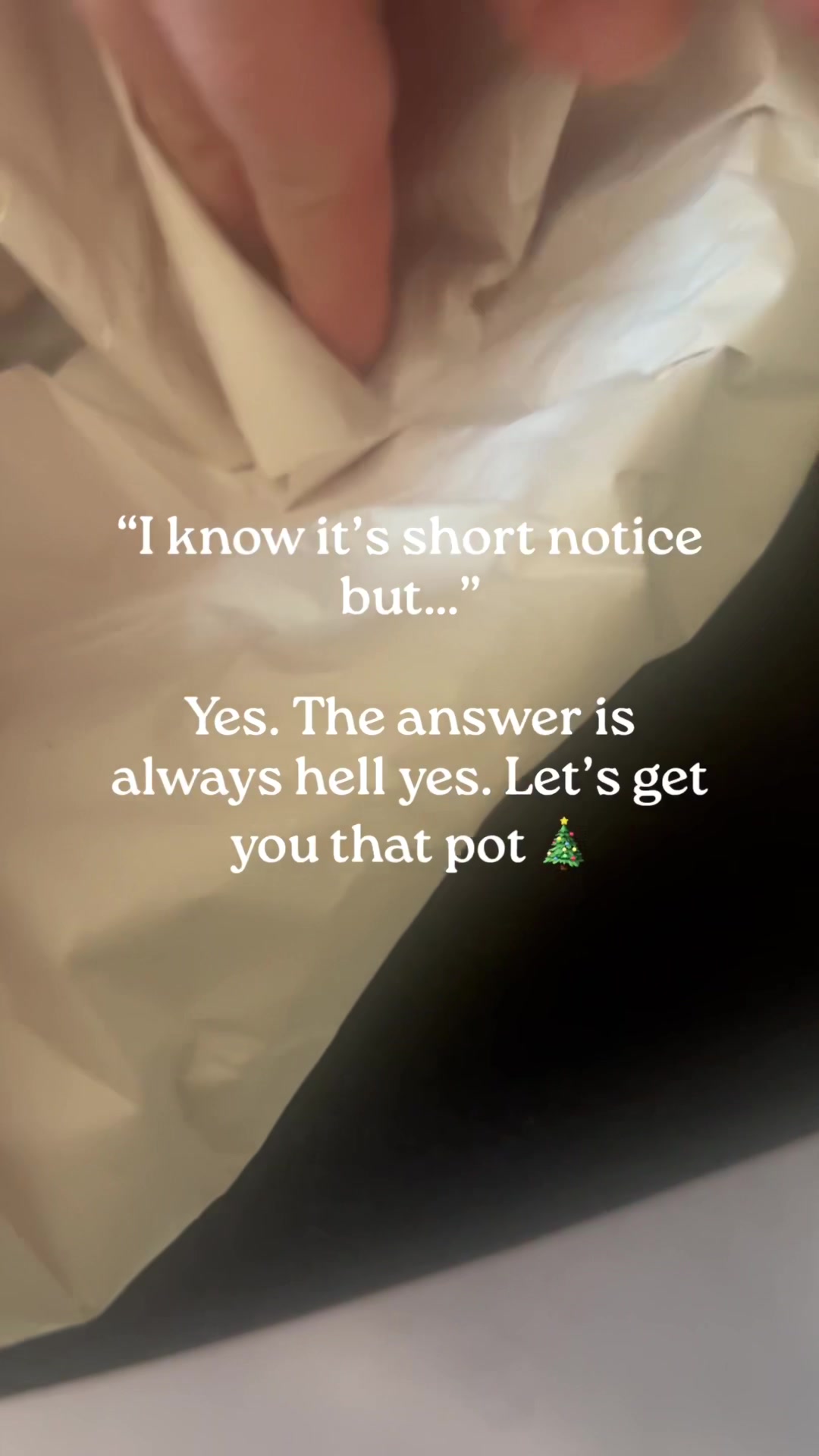 @Erika Anne
