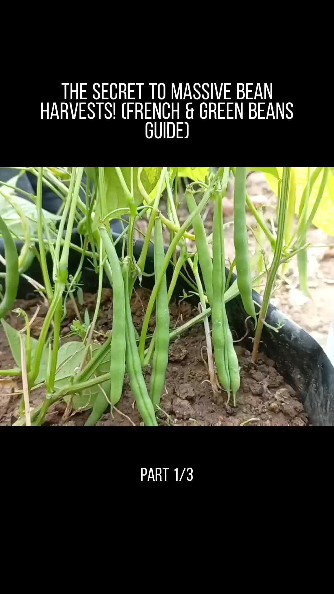 @user32331650853717
